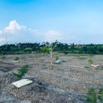 Ảnh 4 của Bán mảnh đất 03 giá rẻ tại xã Hợp Thành, Thủy Nguyên, Hải Phòng