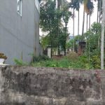 Ảnh 1 của Lô đất hiếm đầu tư sinh lời