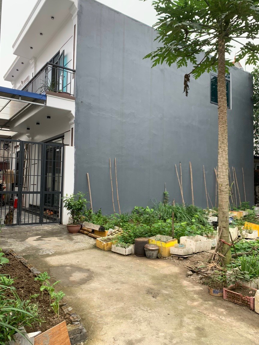 BÁN ĐẤT TẠI THỊ TRẤN AN DƯƠNG, HẢI PHÒNG