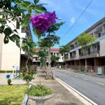 Ảnh 3 của BÁN LIỀN KỀ CENTA CITY HẢI PHÒNG, CỬA NGÕ VINHOMES VŨ YÊN
