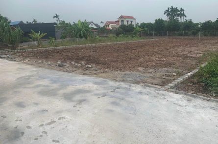 BÁN ĐẤT THỔ CƯ TẠI KIẾN THIẾT - TIÊN LÃNG - HP