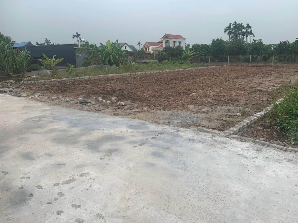 BÁN ĐẤT THỔ CƯ TẠI KIẾN THIẾT - TIÊN LÃNG - HP