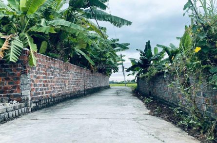 SIÊU CẮT LỖ MẢNH ĐẤT ĐẸP TẠI XÃ KÊNH GIANG, THỦY NGUYÊN