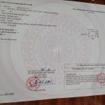 Ảnh 3 của BÁN DUY NHẤT 1 LÔ CẠNH NHÀ NGHỈ ĐỨC, LÂM ĐỘNG, THỦY NGUYÊN