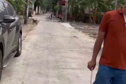 BÁN LÔ ĐẤT ĐẸP HƯỚNG ĐÔNG NAM XÃ PHÙ NINH, THỦY NGUYÊN