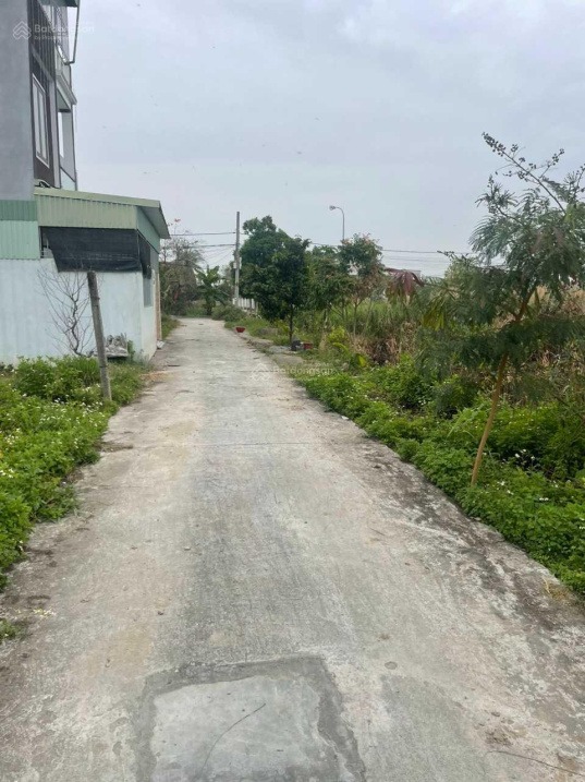 BÁN LÔ ĐẤT HIẾM ĐẦU TƯ SINH LỜI.