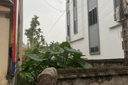 BÁN ĐẤT TẠI KHU 1 - THỊ TRẤN TIÊN LÃNG - TIÊN LÃNG - HP
