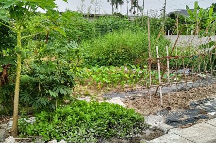 BÁN LÔ ĐẤT ĐẸP TẠI GIANG KHẨU - ĐẠI THẮNG - TIÊN LÃNG