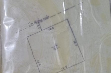 BÁN ĐẤT TẶNG KÈM THÊM NHÀ TẠI TRUNG TÂM THỊ TRẤN VĨNH BẢO