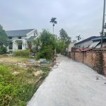 Ảnh 1 của HÀNG HIẾM TẠI BẠCH MAI, HỒNG THÁI, AN DƯƠNG
