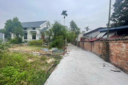 HÀNG HIẾM TẠI BẠCH MAI, HỒNG THÁI, AN DƯƠNG