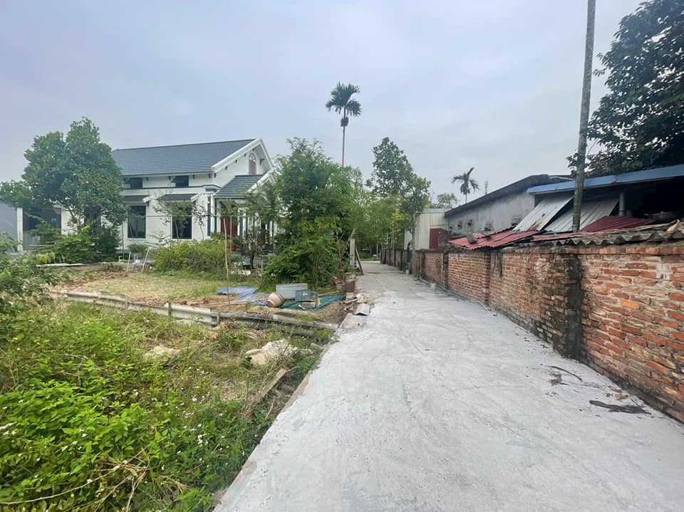 HÀNG HIẾM TẠI BẠCH MAI, HỒNG THÁI, AN DƯƠNG