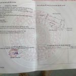 Ảnh 2 của HÀNG HIẾM TẠI BẠCH MAI, HỒNG THÁI, AN DƯƠNG