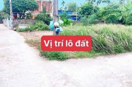 CẦN BÁN LÔ GÓC TẠI THÔN VỐI XÃ, QUẢNG THANH, THỦY NGUYÊN