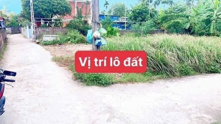 CẦN BÁN LÔ GÓC TẠI THÔN VỐI XÃ, QUẢNG THANH, THỦY NGUYÊN
