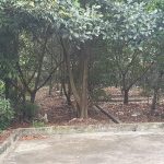 Ảnh 2 của BÁN ĐẤT VƯỜN TẠI MẶT ĐƯỜNG 212