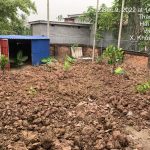 Ảnh 8 của BÁN ĐẤT KẺM THÊM NHÀ TẠI NINH DUY - KHỞI NGHĨA - TIÊN LÃNG