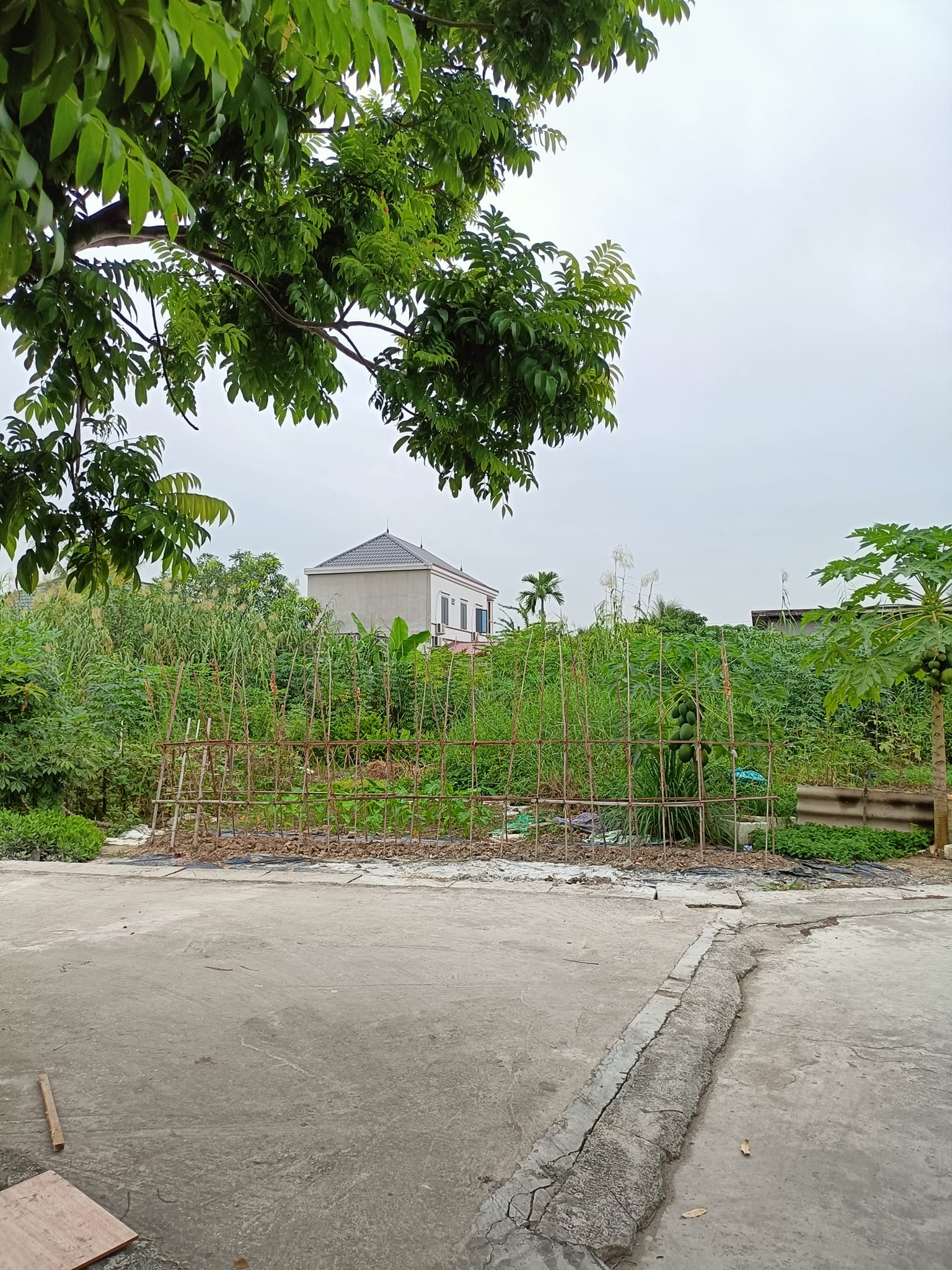 BÁN ĐẤT TẠI GIANG KHẨU - ĐẠI THẮNG - TIÊN LẴNG