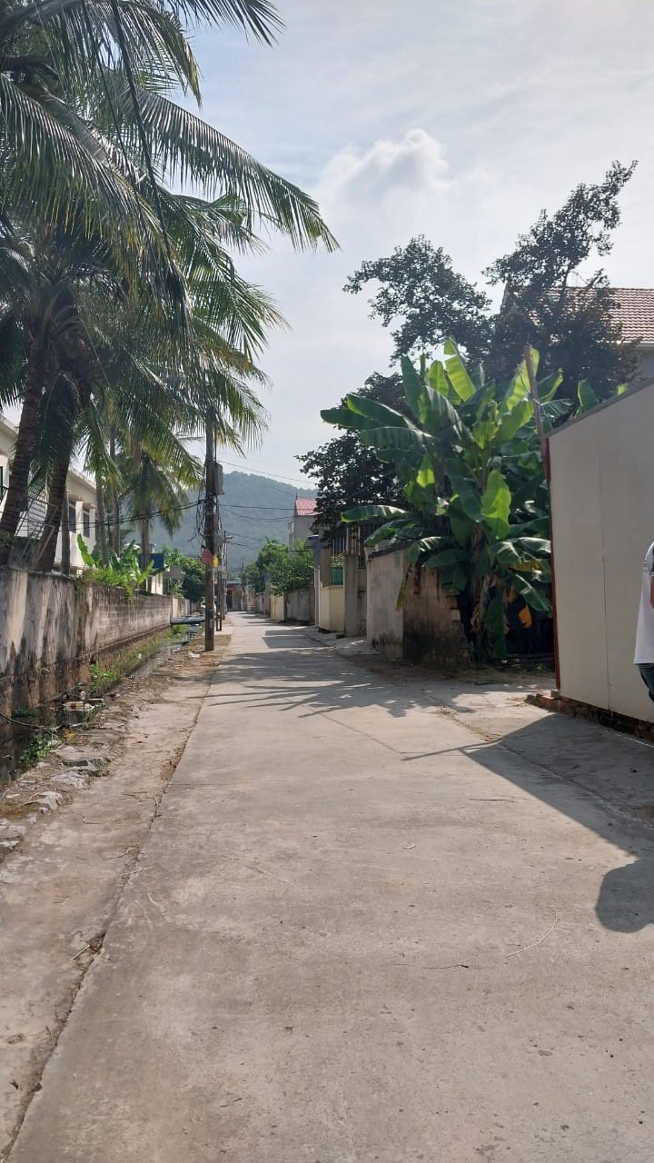 CHỦ CẦN BÁN LÔ ĐẤT ĐẸP, GIÁ ÊM TẠI ĐÔNG SƠN, THỦY NGUYÊN