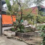 Ảnh 1 của BÁN ĐẤT TẠI ĐỒNG MINH - VINHX BẢO