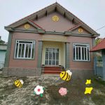 Ảnh 2 của BÁN ĐẤT KÈM THÊM NHÀ TẠI - HIỆP HÒA - VĨNH BẢO