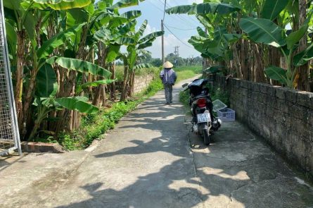 GIÁ RẺ BẤT NGỜ SƠ HỮU NGAY CĂN NHÀ TẠI XÃ LƯU KIẾM