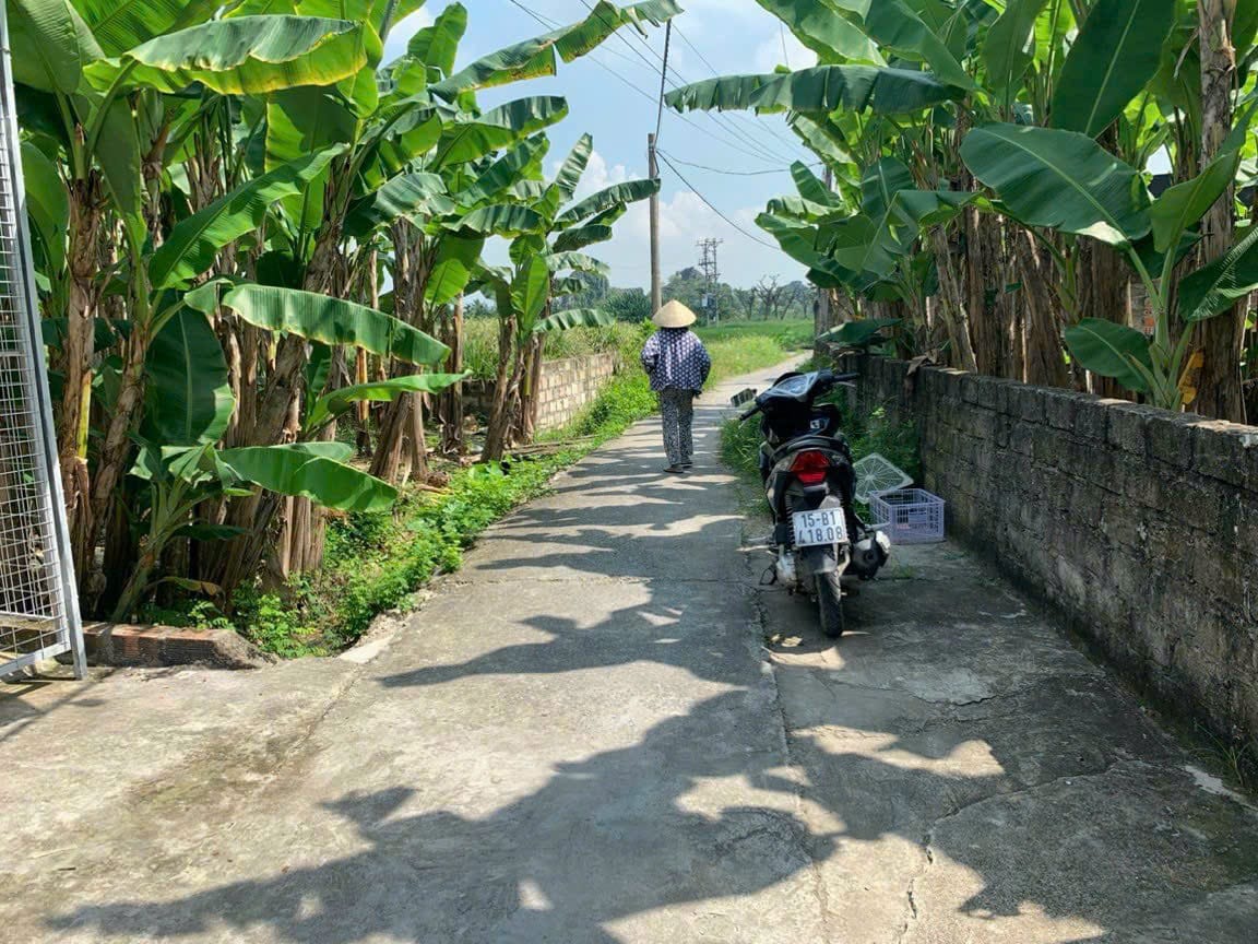 GIÁ RẺ BẤT NGỜ SƠ HỮU NGAY CĂN NHÀ TẠI XÃ LƯU KIẾM