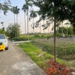 Ảnh 2 của BÁN LÔ ĐẤT THÔN 5 ĐỒNG GIÁ THIÊN HƯƠNG, THỦY NGUYÊN