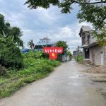 Ảnh 1 của BÁN LÔ GÓC THUỘC TOP HOA KHÔI THÔN ĐƯỜNG ĐÁ HOA ĐỘNG.