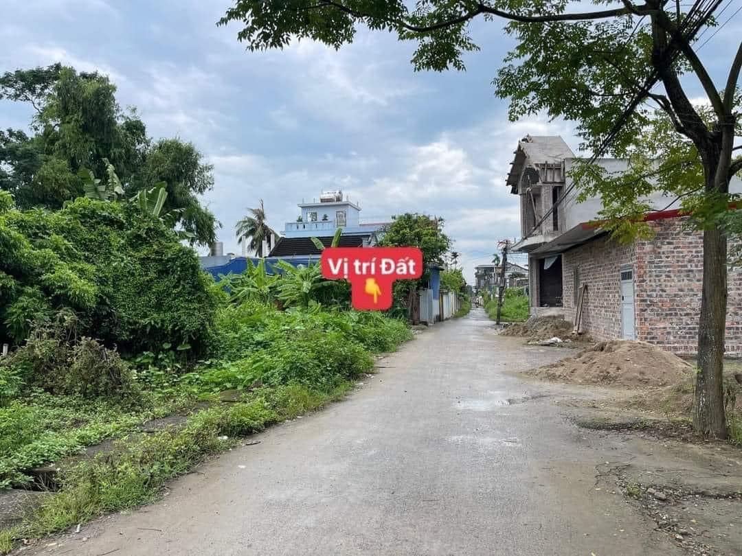 BÁN LÔ GÓC THUỘC TOP HOA KHÔI THÔN ĐƯỜNG ĐÁ HOA ĐỘNG.