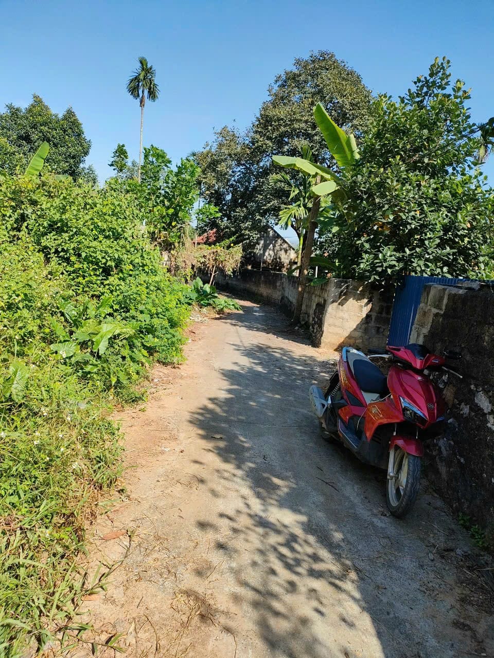 BÁN LÔ ĐẤT LIÊN KHÊ, THỦY NGUYÊN