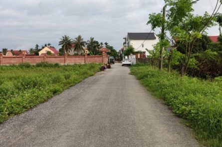 BÁN ĐẤT TẠI ĐIỀM NIÊM - TÂN HƯNG -  VĨNH BẢO