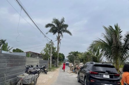 Bán lô 115m2, đường appal 17m, gần Chợ An Thái An Lão.