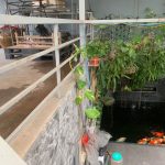 Ảnh 4 của BÁN NHÀ 3 TẦNG ĐỘC LẬP NGAY GẦN NGÃ 5 CO.OP MART