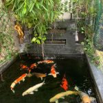 Ảnh 8 của BÁN NHÀ 3 TẦNG ĐỘC LẬP NGAY GẦN NGÃ 5 CO.OP MART