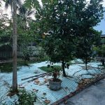 Ảnh 2 của CHÍNH CHỦ CẦN BÁN LÔ ĐẤT TẠI TRUNG TÂM THỊ TRẤN TIÊN LÃNG - TIÊN LÃNG - HP