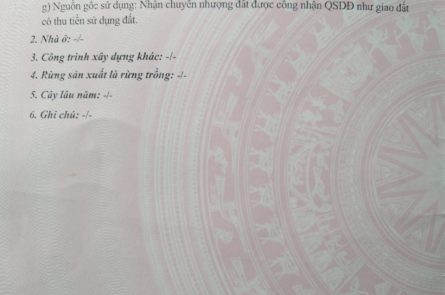 Bán duy nhất lô đất chung cư Bính, Hoa Động đường ô tô tận đất, giá cắt lỗ sâu.