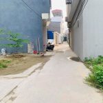 Ảnh 2 của BẠCH MAI ĐỒNG THÁI, AN DƯƠNG GẦN UBND XÃ Ô TÔ ĐỖ CỬA
