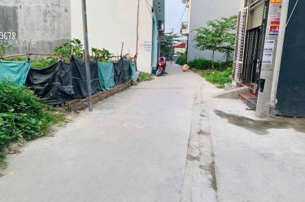 BẠCH MAI ĐỒNG THÁI, AN DƯƠNG GẦN UBND XÃ Ô TÔ ĐỖ CỬA