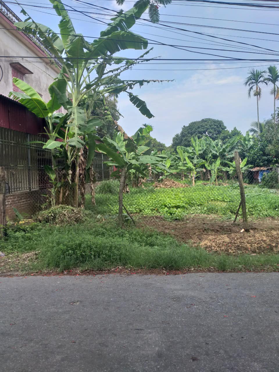 BÁN ĐẤT TẠI CỘNG HIỀN - VĨNH BẢO