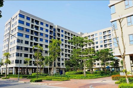 Hé lộ hình hài dự án nhà ở gần 6.000 tỷ Vinhomes sắp làm ở Khu kinh tế Đình Vũ - Cát Hải.