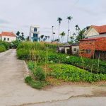 Ảnh 2 của Bán lô góc đất Hoa Động, Thủy Nguyên