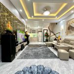 Ảnh 1 của SIÊU PHẨM 4 TẦNG MHX ngay đầu Hồ Sen đẹp long lanh mà zá mềm oặt