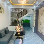 Ảnh 1 của BÁN NHÀ XÂY CHẮC CHẮN NGÕ 113 VŨ CHÍ THẮNG
