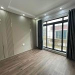 Ảnh 7 của 1 căn duy nhất còn xót lại. TĐC Sao Sáng, Thành Tô, Hải An.