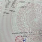 Ảnh 4 của Mặt đường nhựa Minh Tân - Kiến Thuỵ giá chỉ 10tr/m2