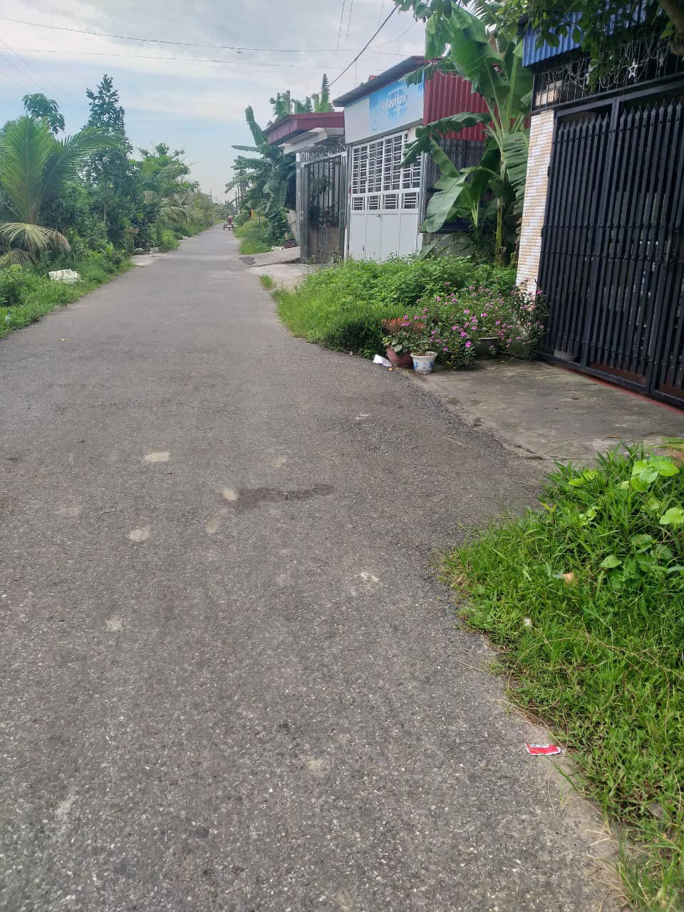 BÁN ĐẤT FUN THỔ CƯ TẠI THANH LƯƠNG - VĨNH BẢO - HP