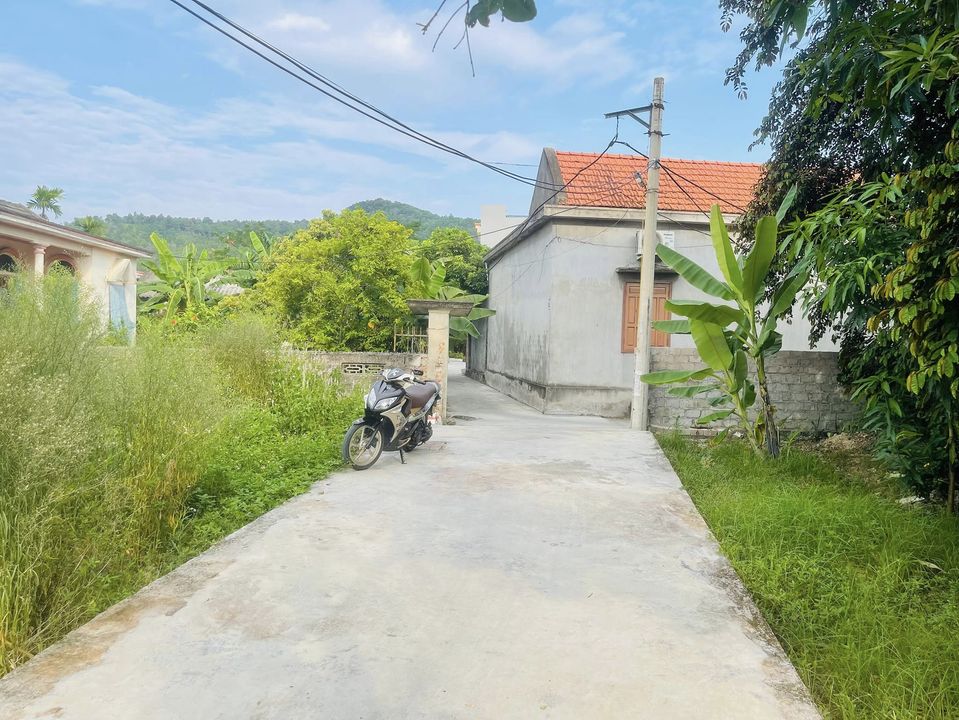 Cắt lỗ một lô đất tại 2 Đông Sơn, Thủy Nguyên.