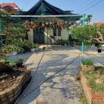 Ảnh 1 của Mua đất tặng nhà Hoàng Động, Thủy Nguyên.