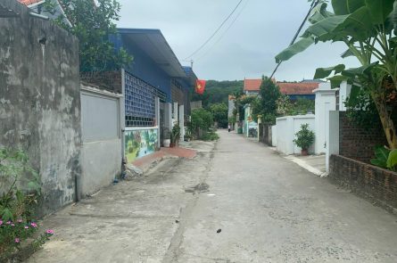 F0 Chính Mỹ ngõ ô tô quay đầu với giá mềm như bún.